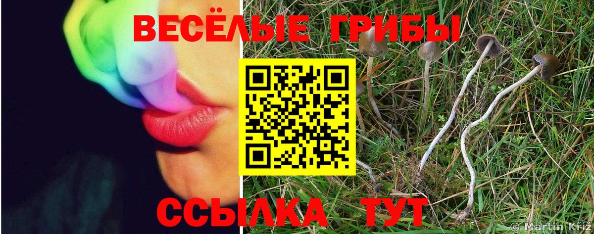 Псилоцибиновые грибы Magic Shrooms  Вход с VPN  Галлюциногенные грибы MAGIC MUSHROOMS  Отрадный 