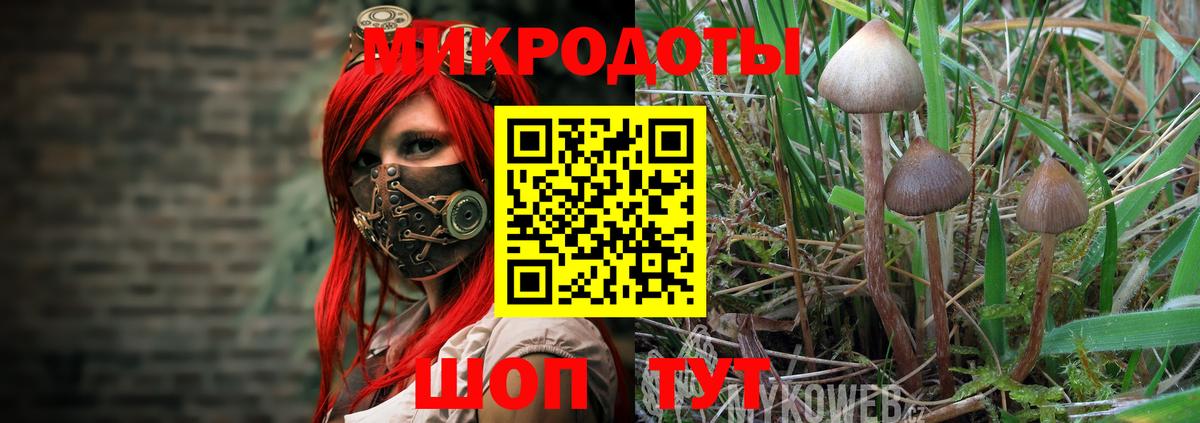 Галлюциногенные грибы MAGIC MUSHROOMS Отрадный